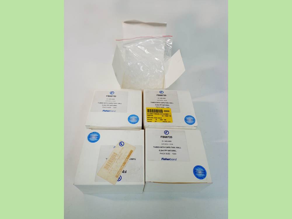 Thermo Scientific Polypropylene Thin Wall 0.2mL PP Natural PCR Tubes with Attached Caps, 5 packs x 1